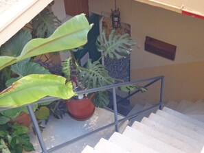Property entrance - Via Via Hotel (Rhodes)