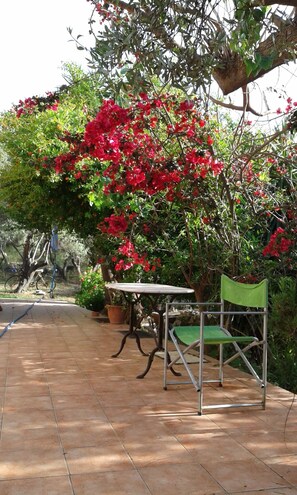 Terrace/patio - ktima Tzamika (Rethymno)