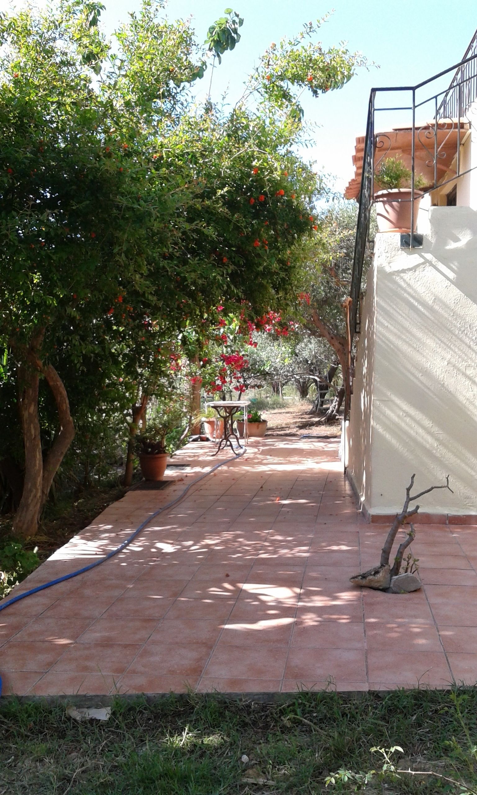 Fachada da propriedade