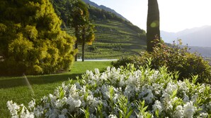 A lush green landscape with a well-maintained garden in the foreground, featuring white flowers and a tall, slender tree. - SCHLOSS PLARS Wine & Suites (Lagundo)