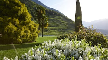 Jardín
