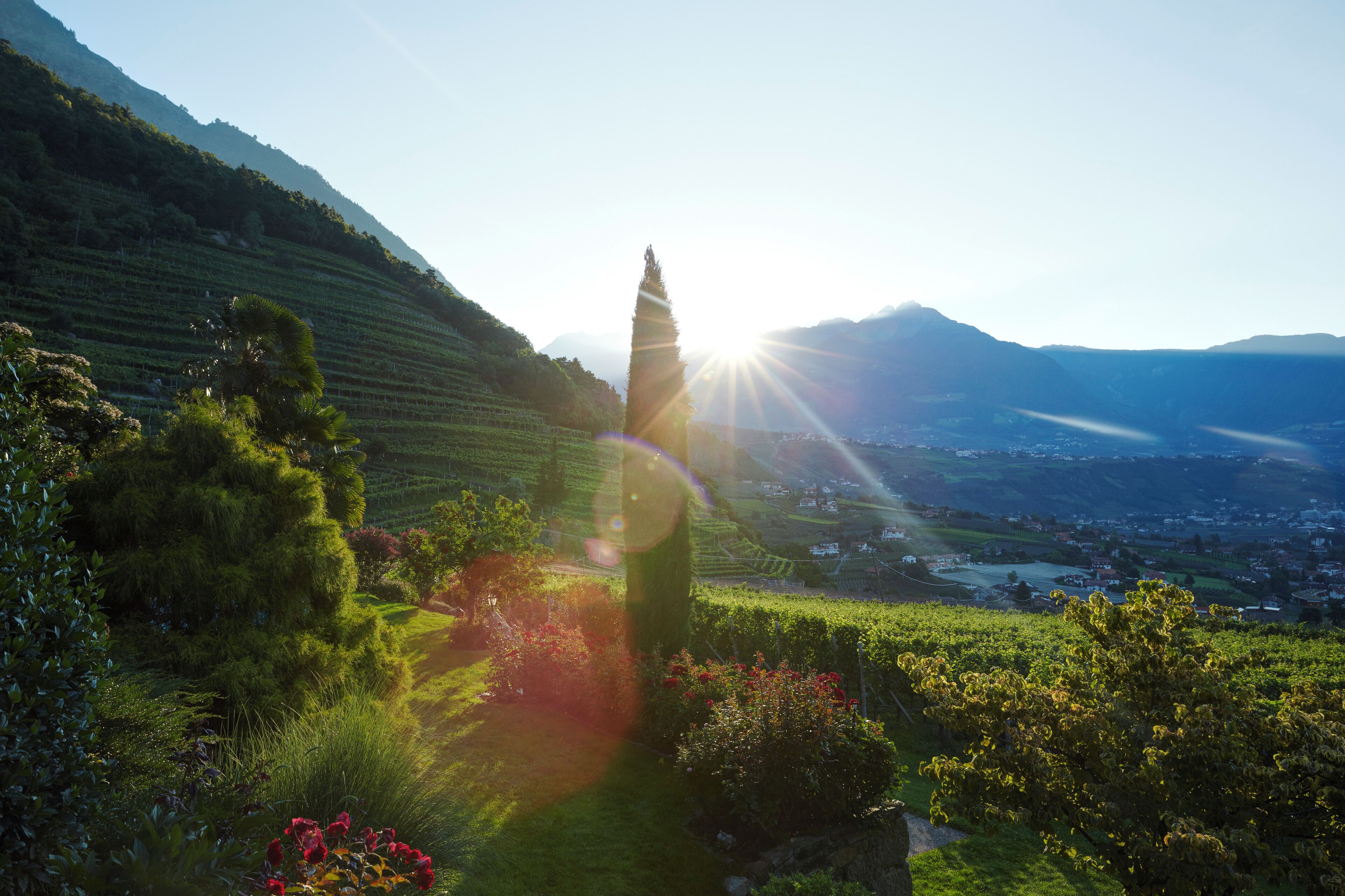 Foto - Schloss Plars wine & suites