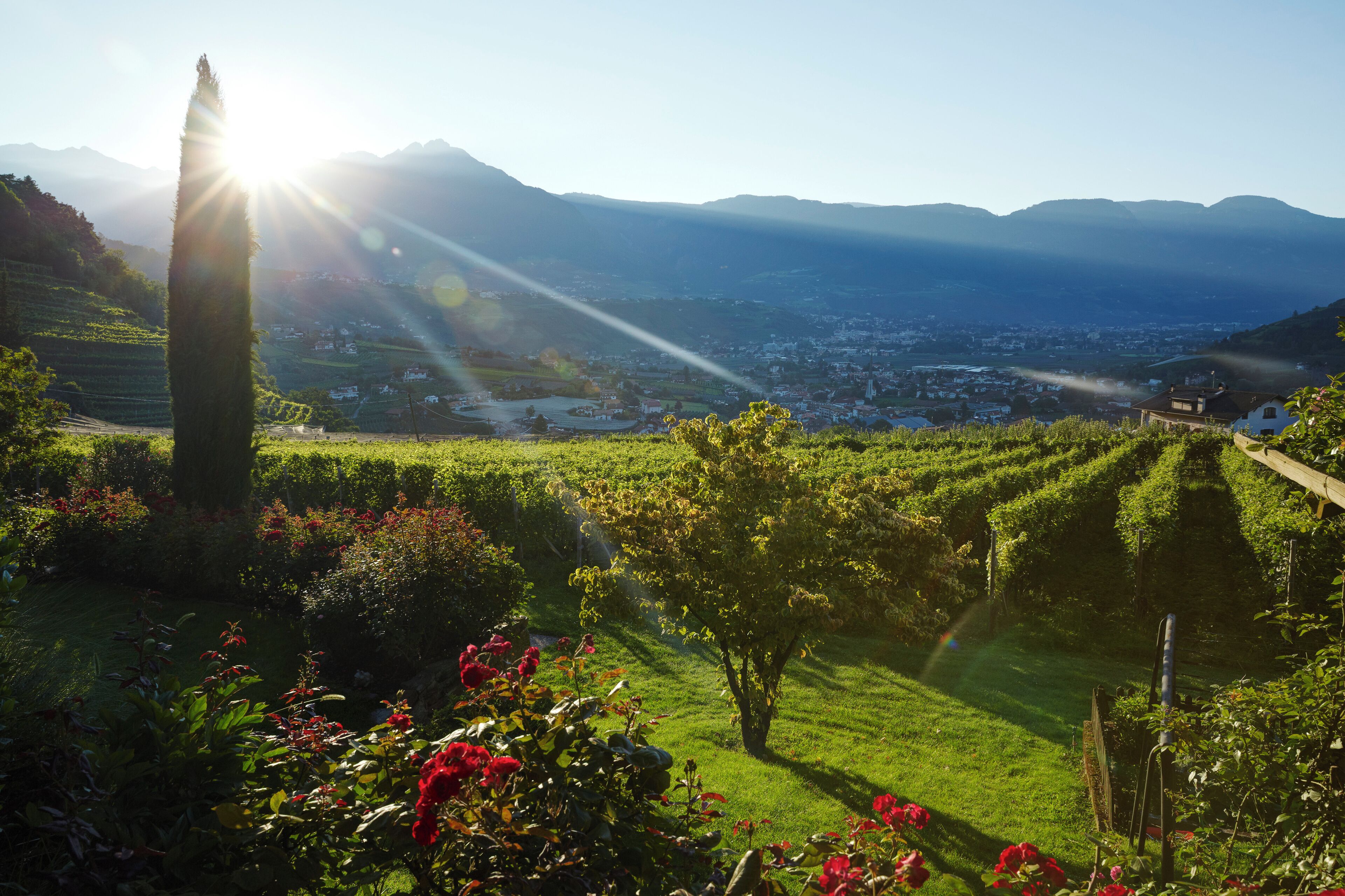 Foto - Schloss Plars wine & suites