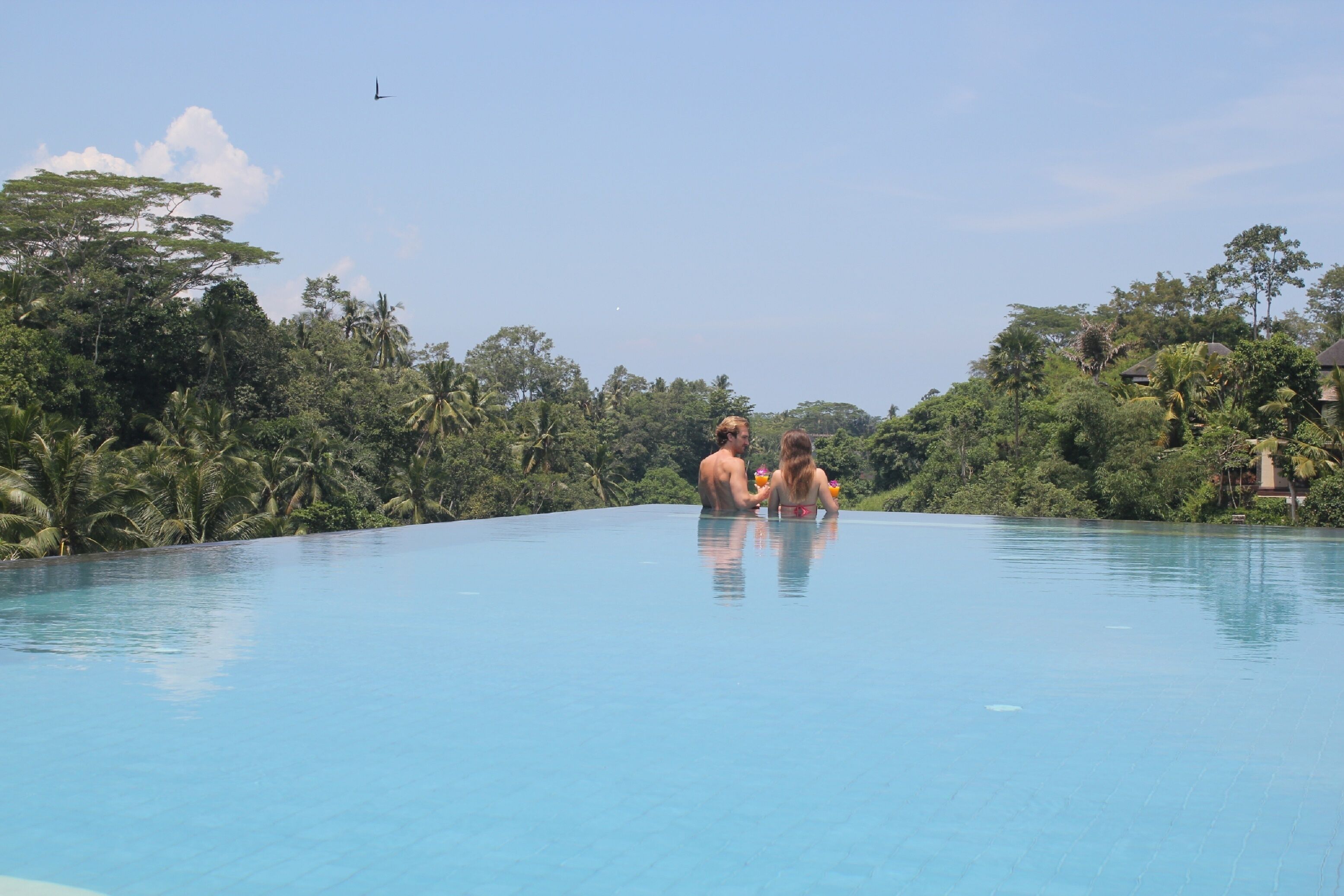 A large, clear blue infinity pool surrounded by lush greenery and tropical trees.