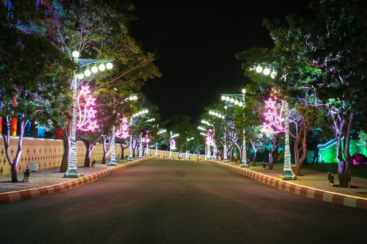 A tree-lined street at night with illuminated decorations.