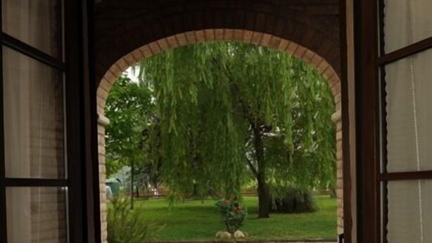 An open doorway leading to a stone-paved courtyard with a weeping willow tree. - Agriturismo Podere Casenove (Citerna)