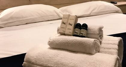 Fiumicino Airport B&B Deluxe