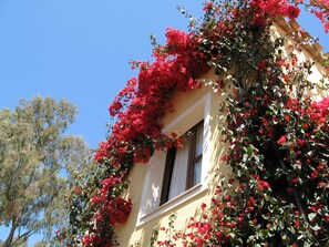 Außendetails