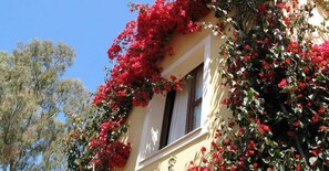 Außendetails
