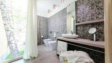 Shower, hair dryer, bidet, towels