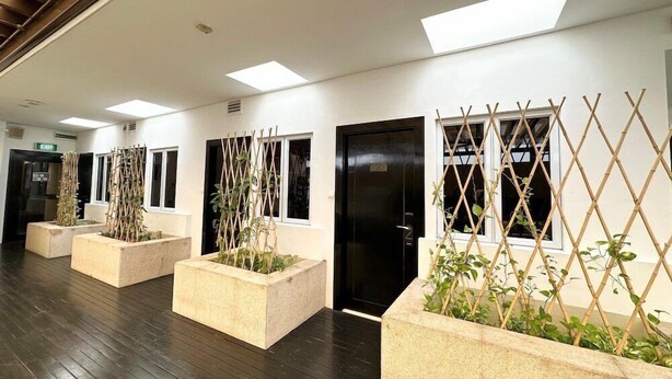 Un pasillo moderno con pisos de madera oscura, paredes blancas y macetas rectangulares con plantas de bambú.