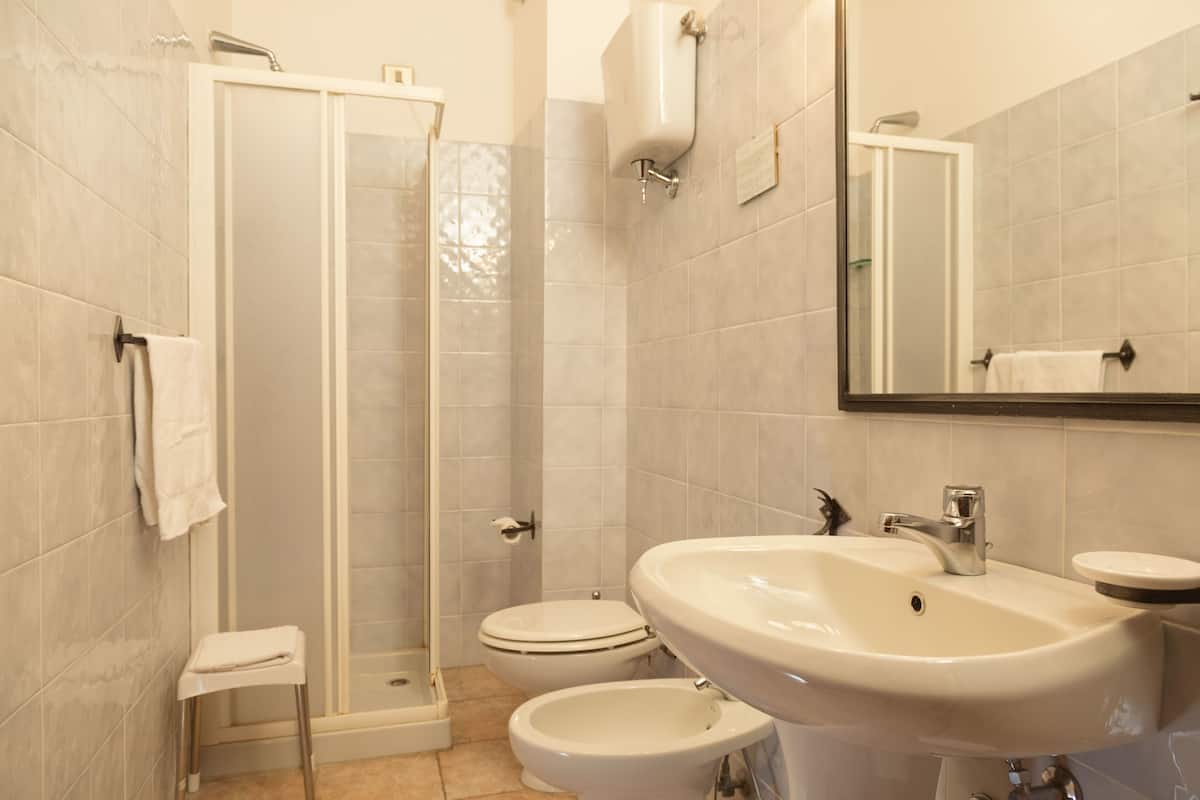 standard double room, 1 double bed, non smoking | bathroom | shower, hair dryer, towels