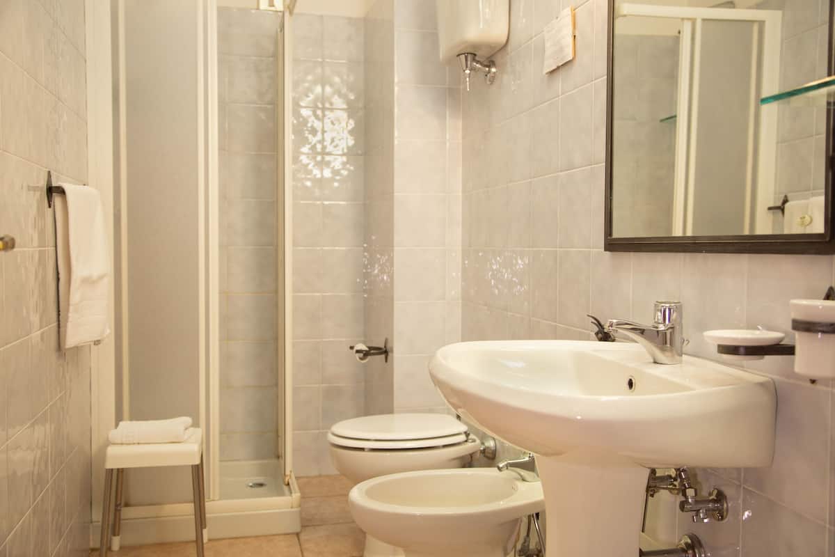 standard double room, 1 double bed, non smoking | bathroom | shower, hair dryer, towels