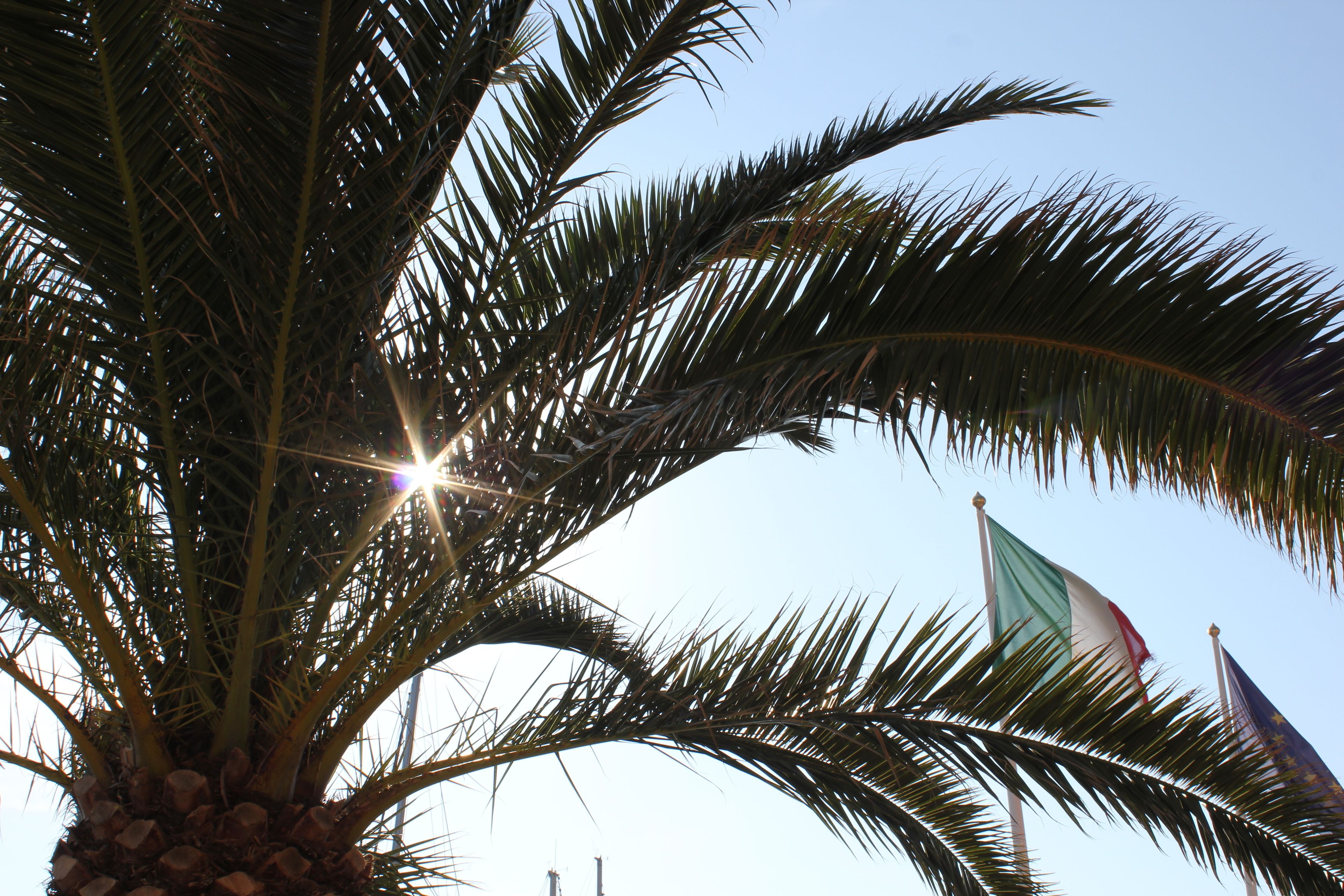 Foto - Hotel Belmare