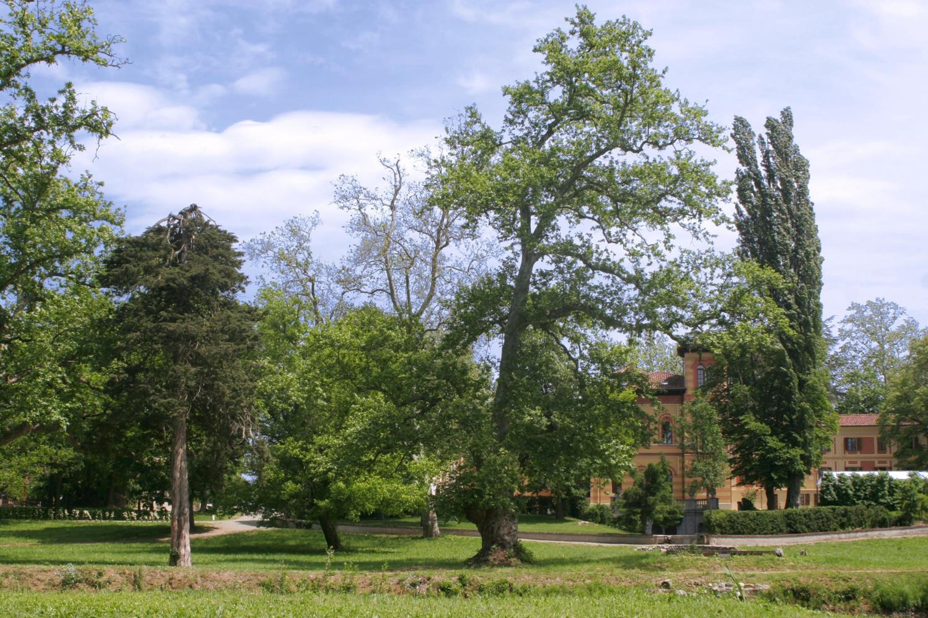 Ein Park mit alten Bäumen, einem Weg und einem Gebäude mit rotem Dach im Hintergrund.