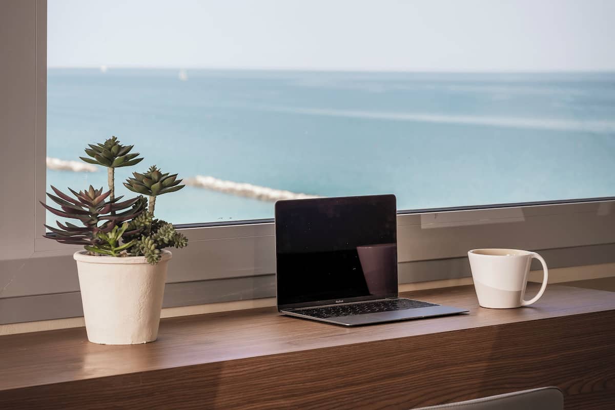 A laptop on a desk with a potted plant and a mug, overlooking a beach.