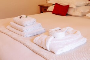 Standard Room Wheelchair Accessable (4)