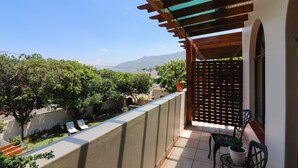 Luksus-dobbeltrom (1) | Terrasse/patio