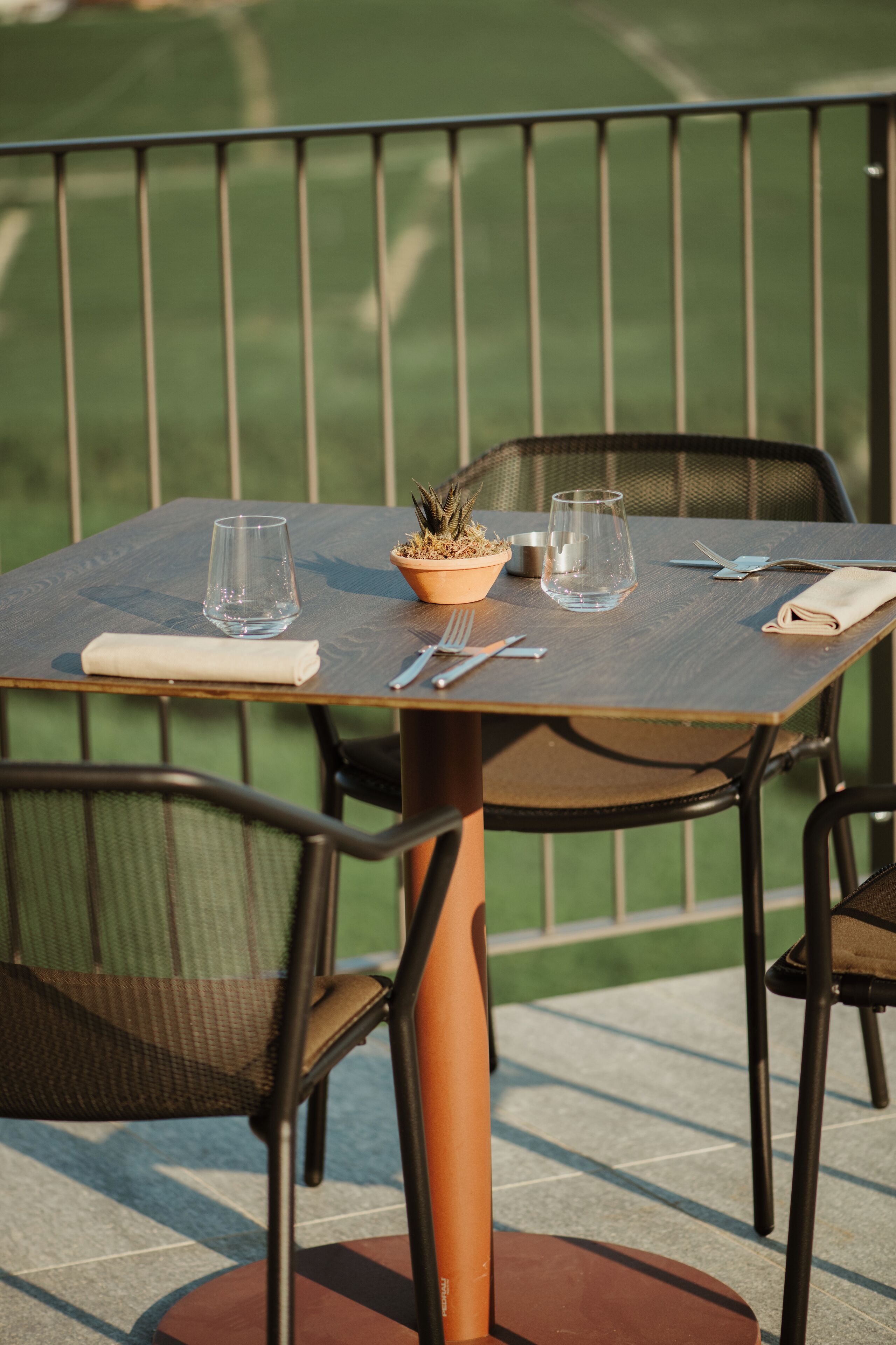 A table set outdoors with a potted plant, two glasses, cutlery, and a napkin.