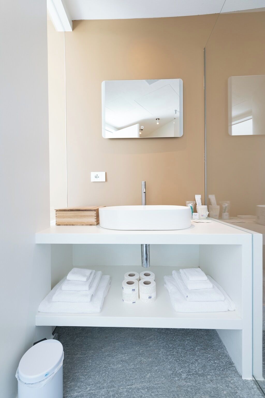 A modern bathroom with a white sink, mirror, and towel storage.