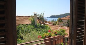 Vista desde la propiedad