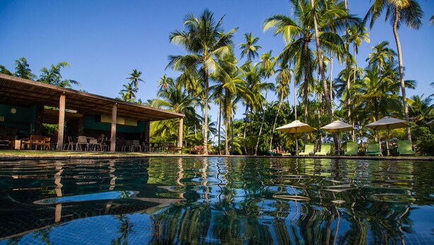 Piscina com água límpida refletindo palmeiras e um edifício com área de estar externa.