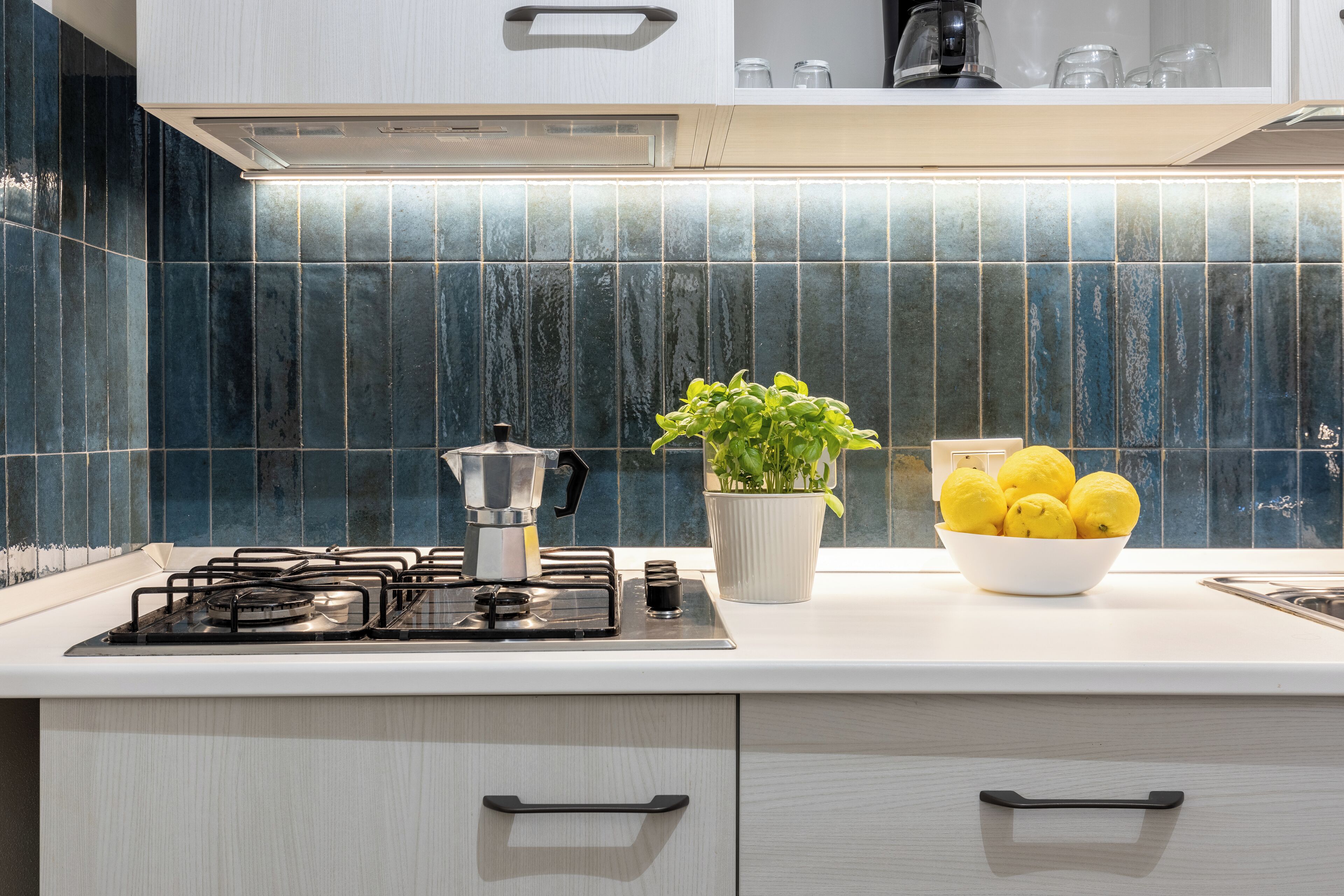Premium-bungalow | Yksityinen keittiö | Täysikokoinen jääkaappi, liesi, keittoastiat/astiat/ruokailuvälineet
