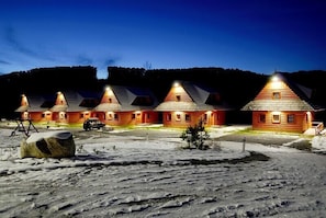 Cabins offer cozy accommodations in a communal setting.