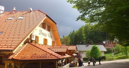 Hotel Vodnik & Apartments