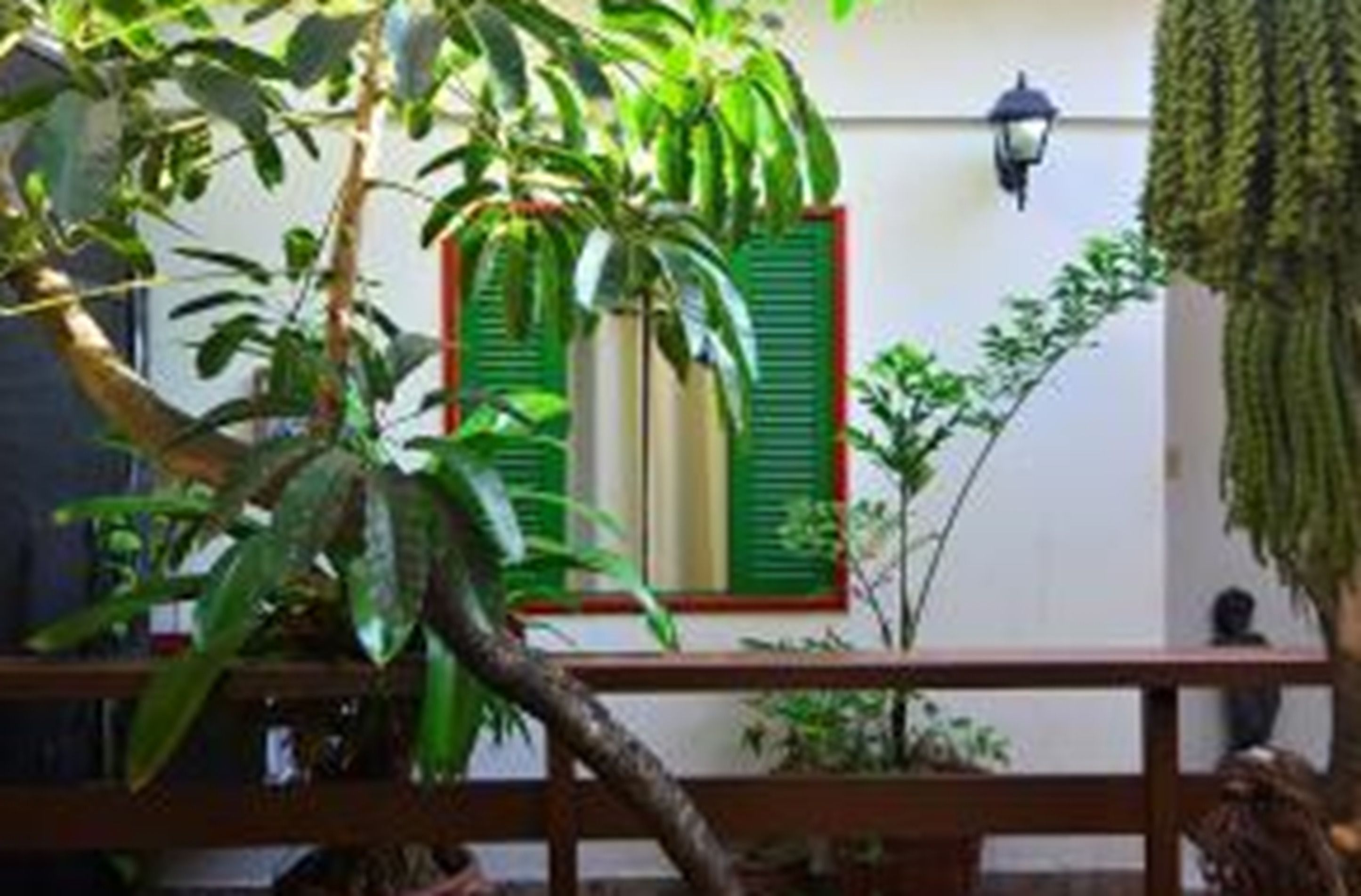 Foto - Pousada Estalagem do Porto