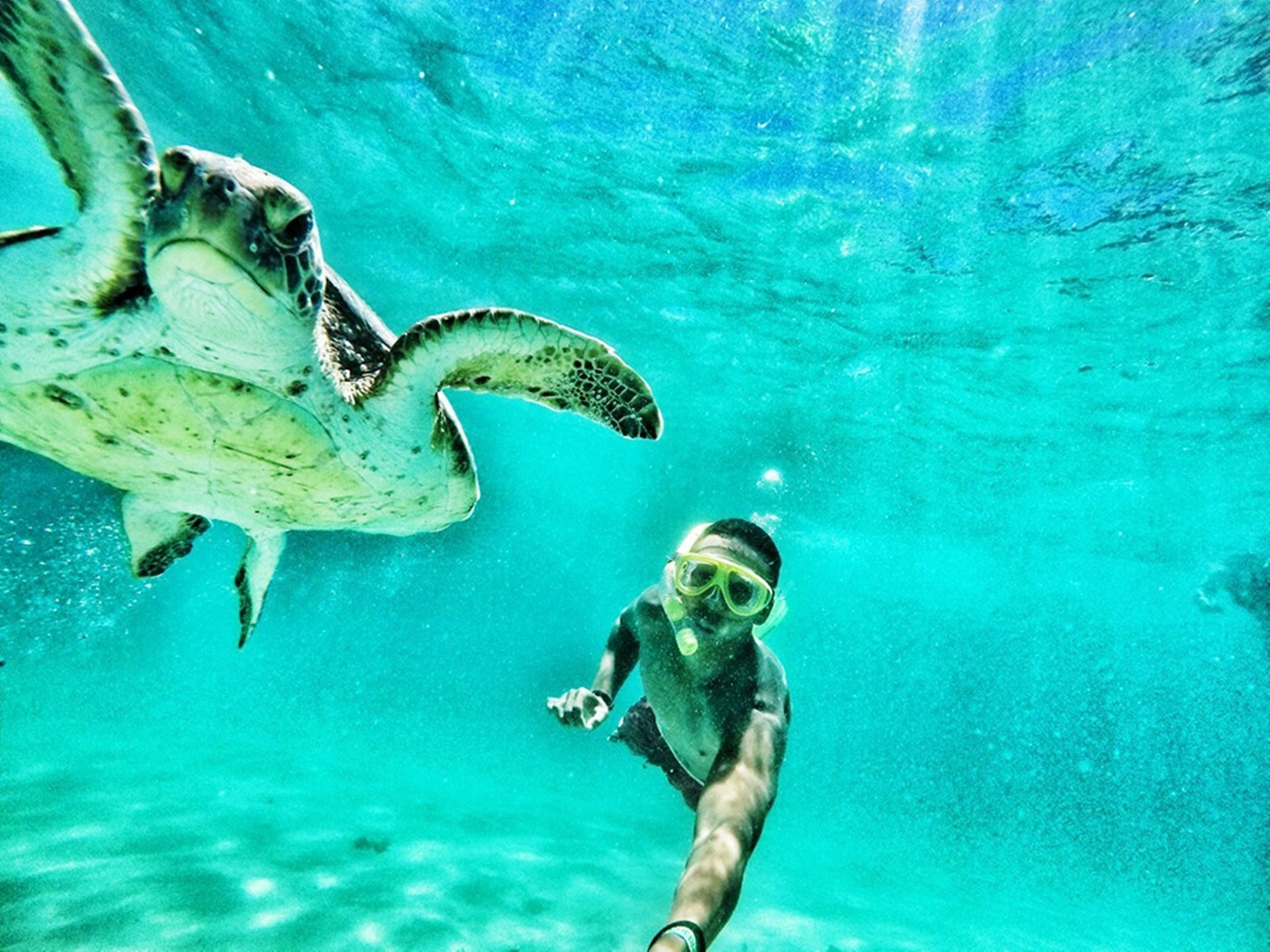 Foto - Pousada Estalagem do Porto