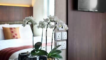 Cofres nos quartos, ferros/tábuas de passar roupa, Wi-Fi de cortesia