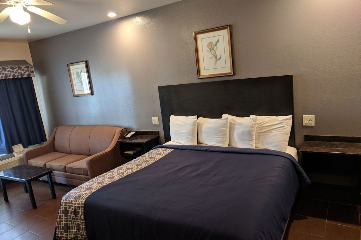 Une chambre d’hôtel avec un lit, un canapé, une table de chevet et un ventilateur de plafond.
