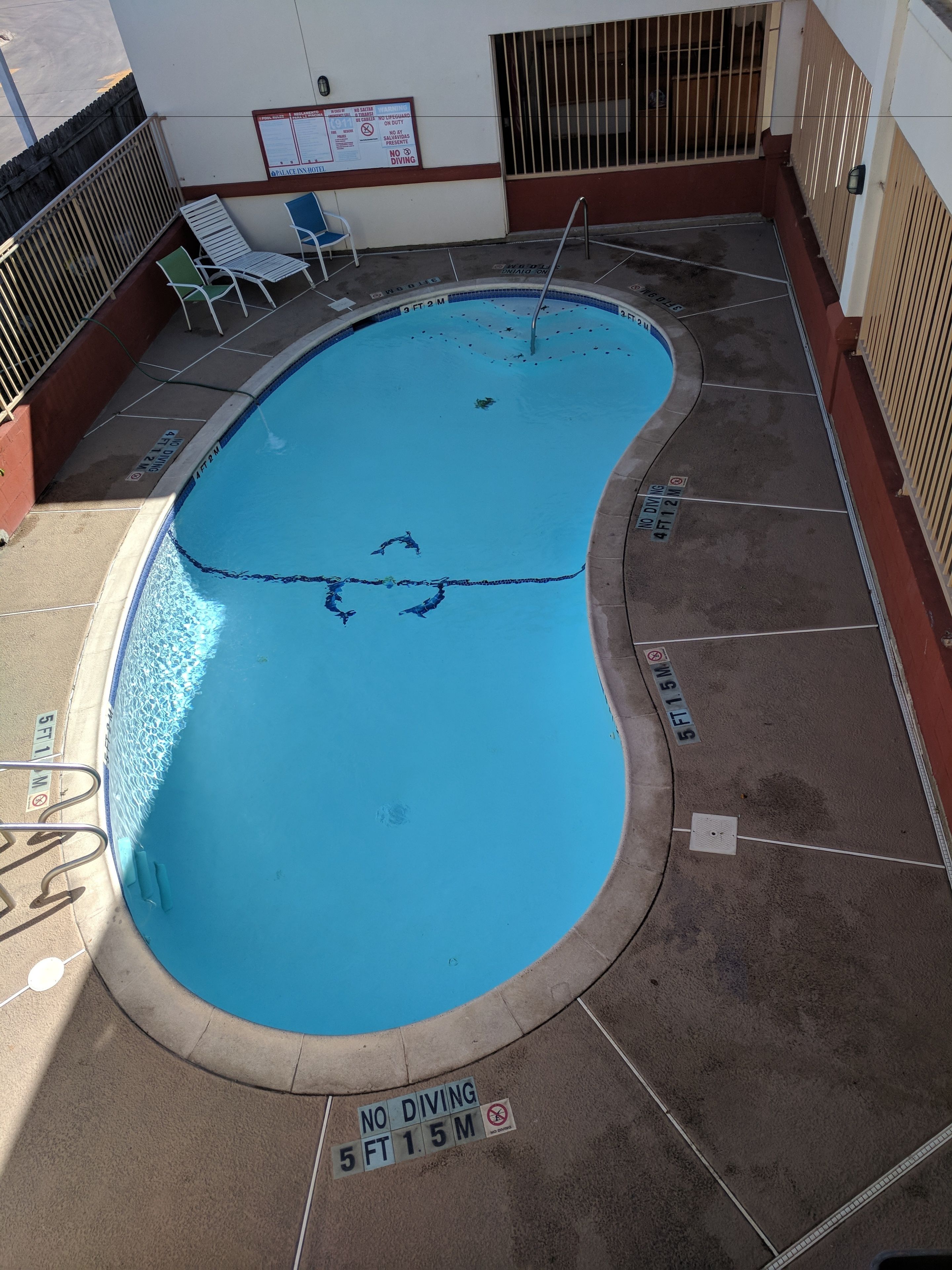 A swimming pool with a no diving sign, lounge chairs, and a fence.