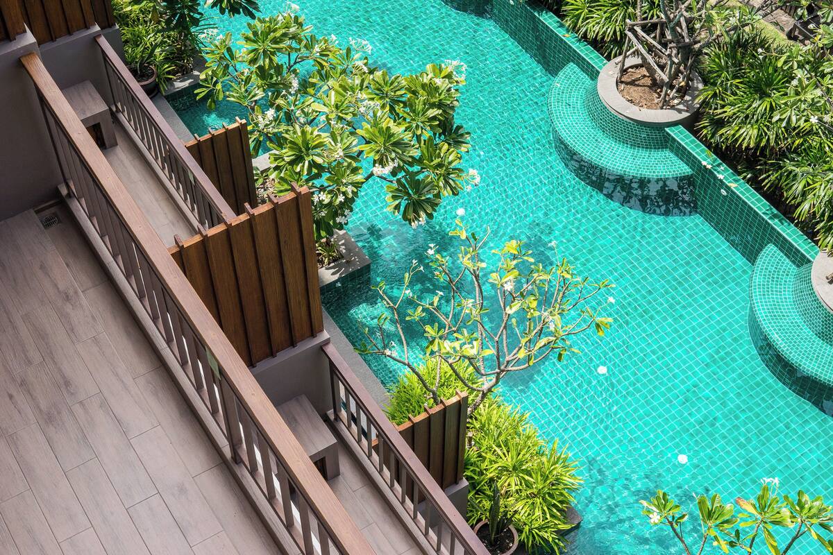 A rooftop pool with a tiled edge, surrounded by potted plants and a wooden deck.