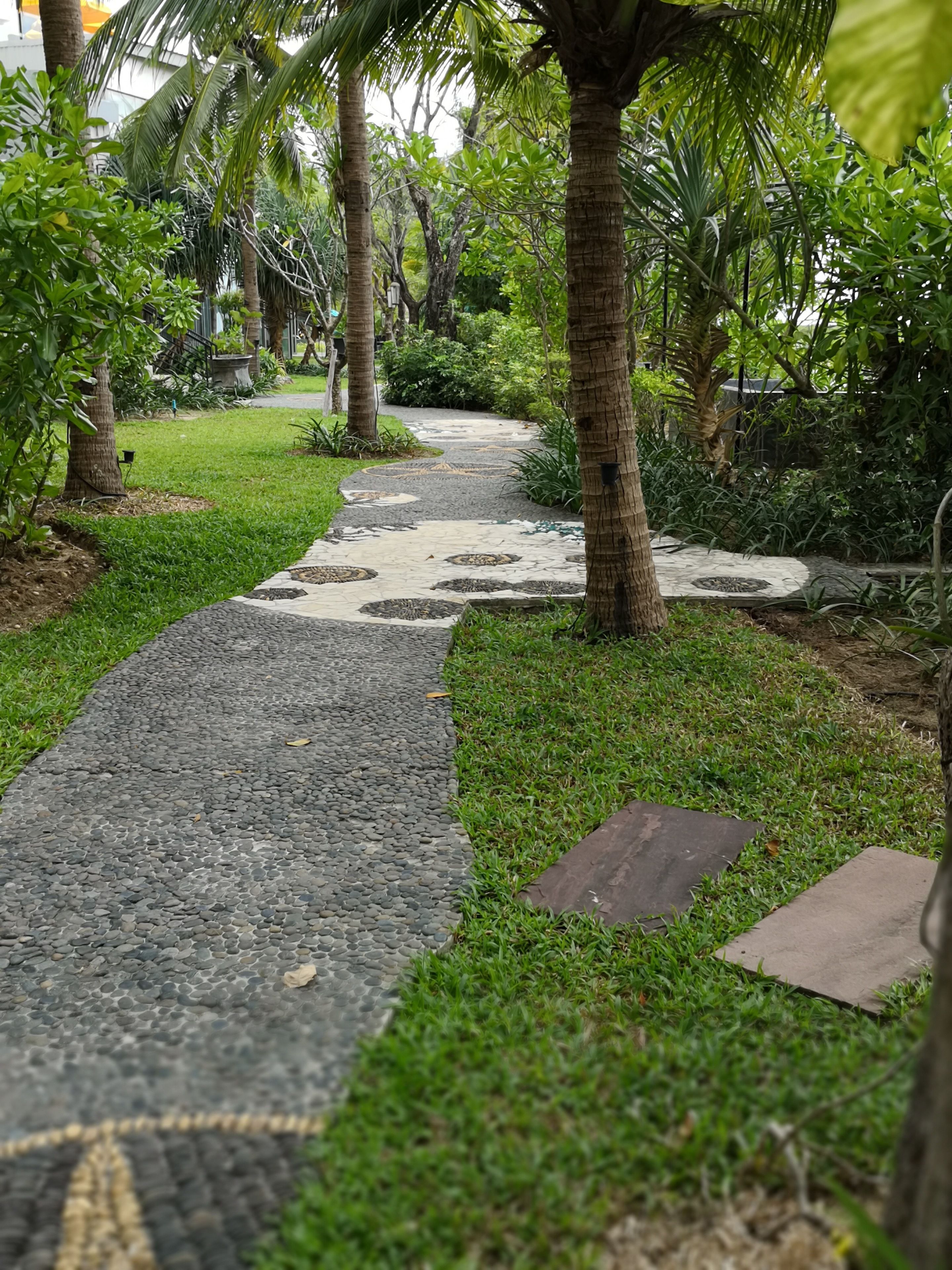 A pathway with a patterned surface, surrounded by grass and palm trees.