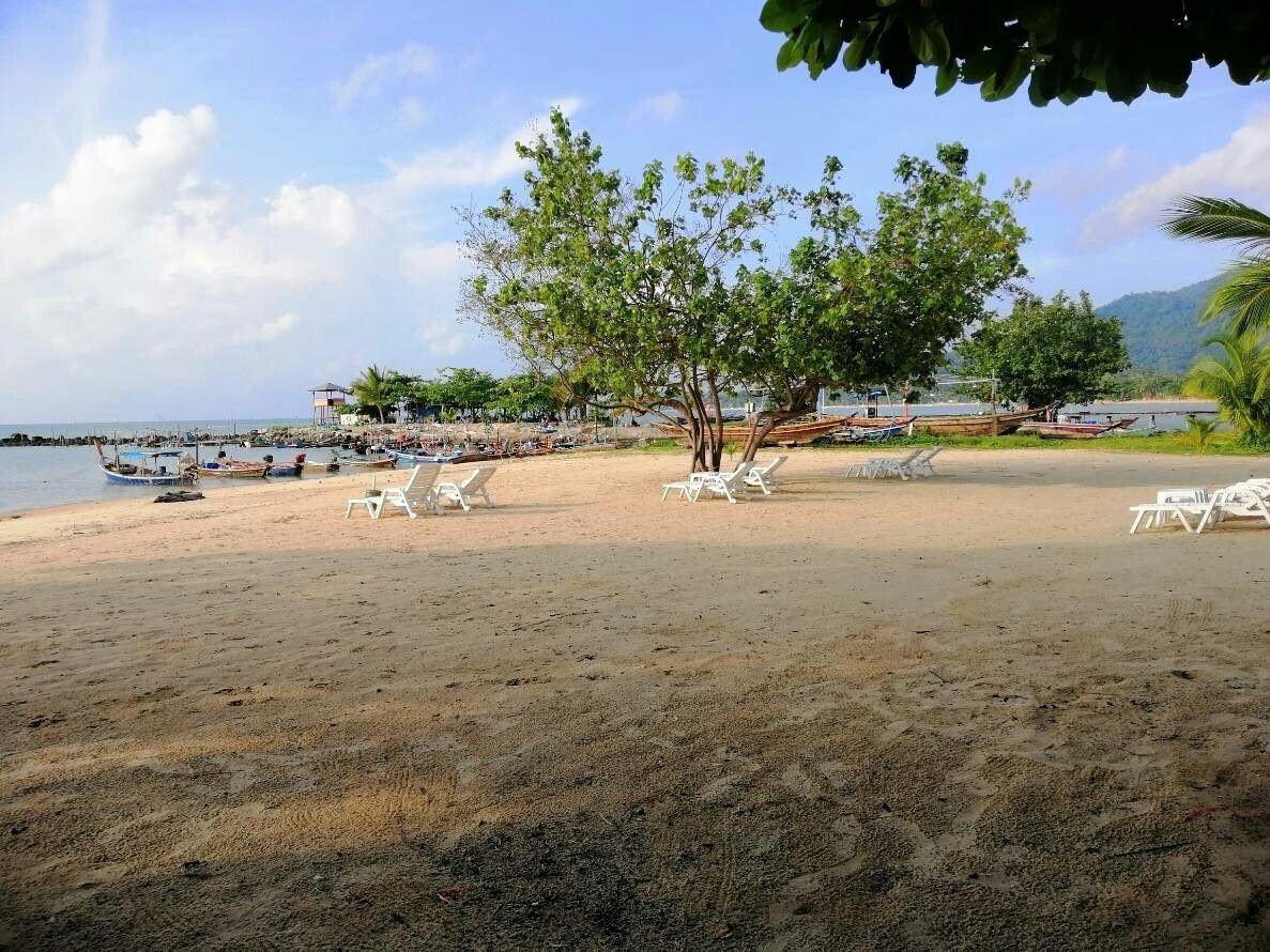 A beach with white lounge chairs, a tree, and boats in the background.