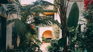 A pathway flanked by lush tropical plants and a building with a large archway. - 1906 Lodge (Coronado)