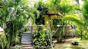 A lush garden with a yellow building, a staircase leading to the entrance, and various tropical plants. - Manita Resort (Koh Samui)