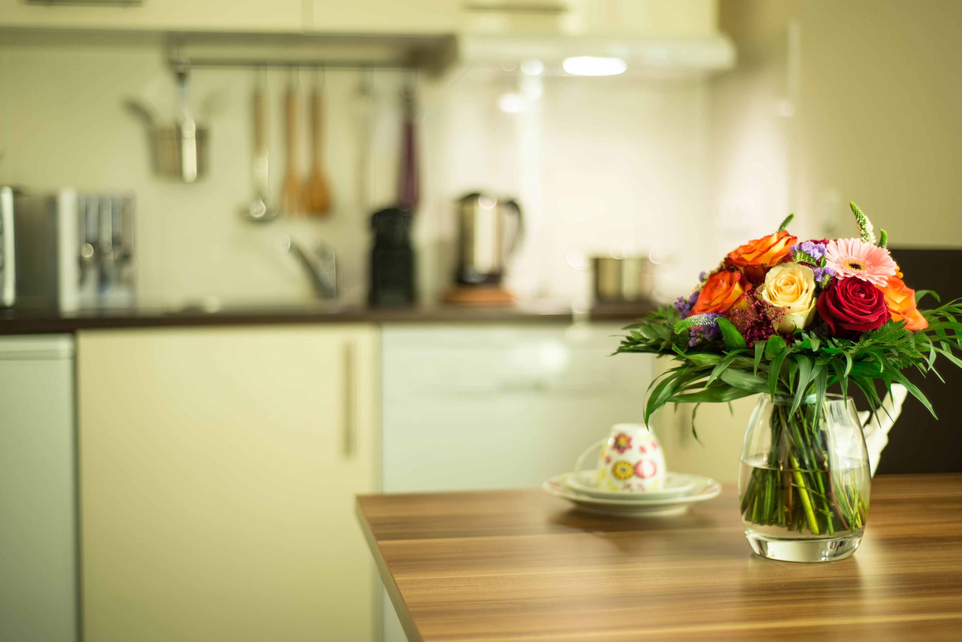 standard double room | in-room dining