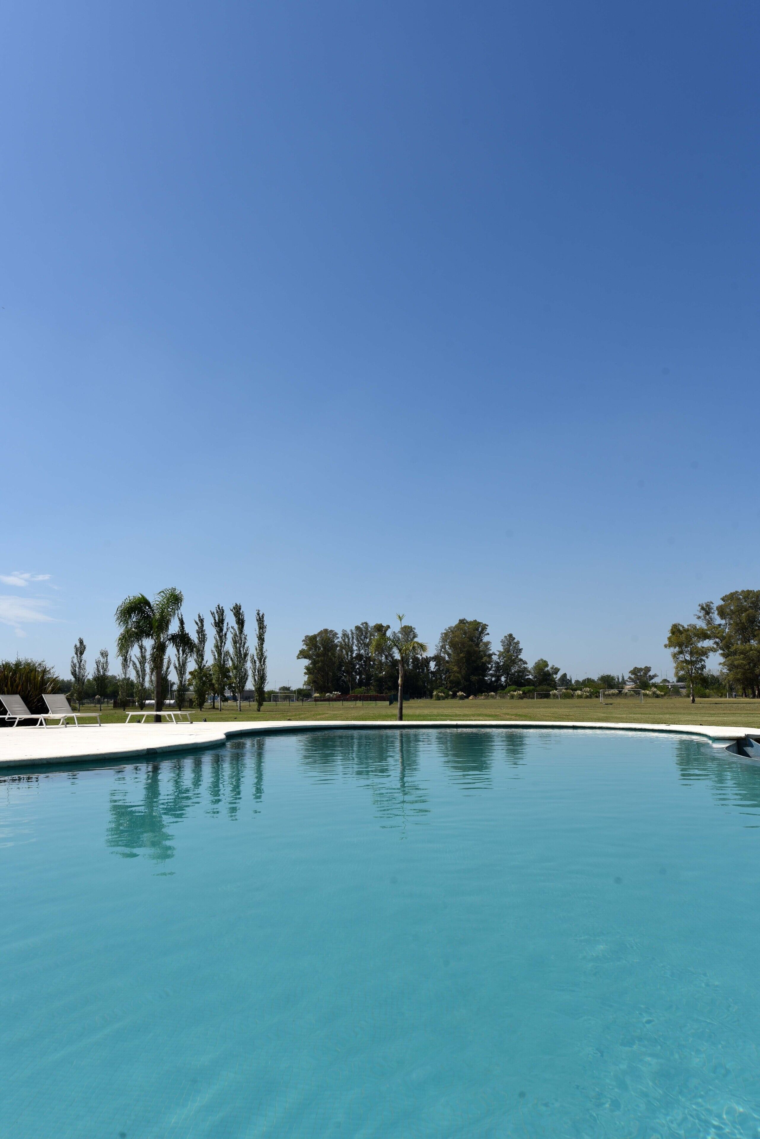 A clear blue sky and a swimming pool with lounge chairs and trees in the background.