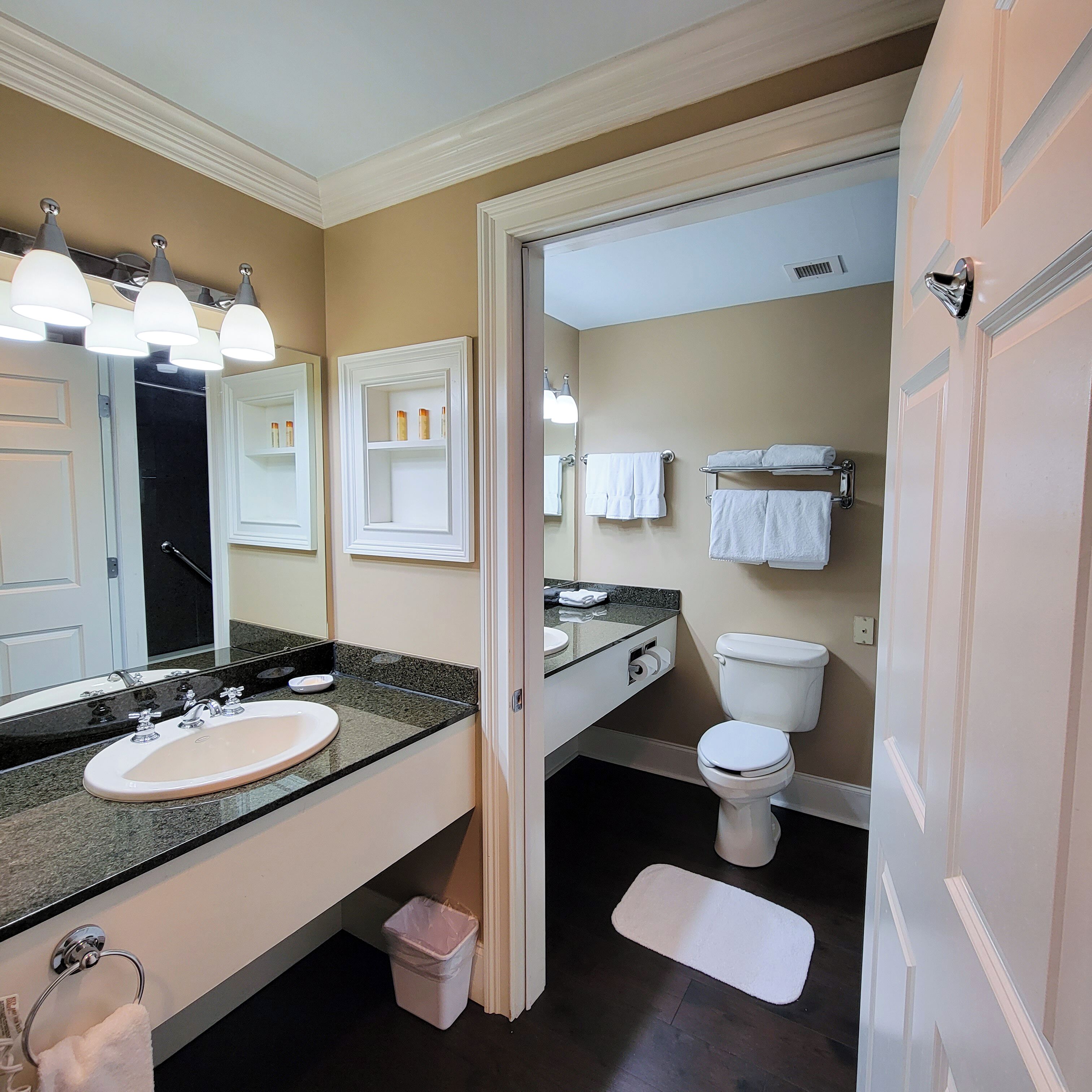 combined shower/bathtub, hair dryer, towels, shampoo