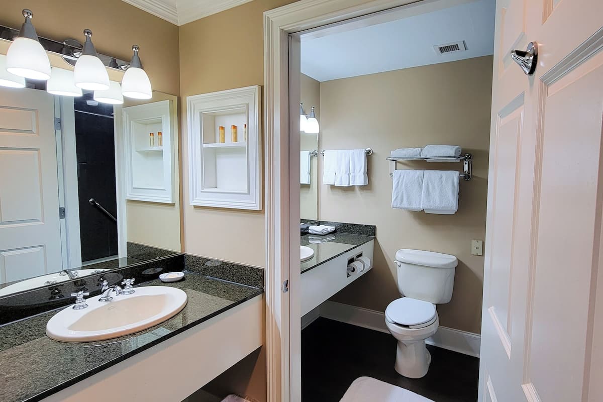 combined shower/bathtub, hair dryer, towels, shampoo