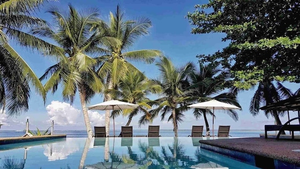 Un área junto a la piscina con sillones reclinables y sombrillas, rodeada de palmeras y una vista despejada del océano.