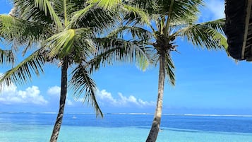 A beach scene with clear blue water, a sandy shore, and palm trees.