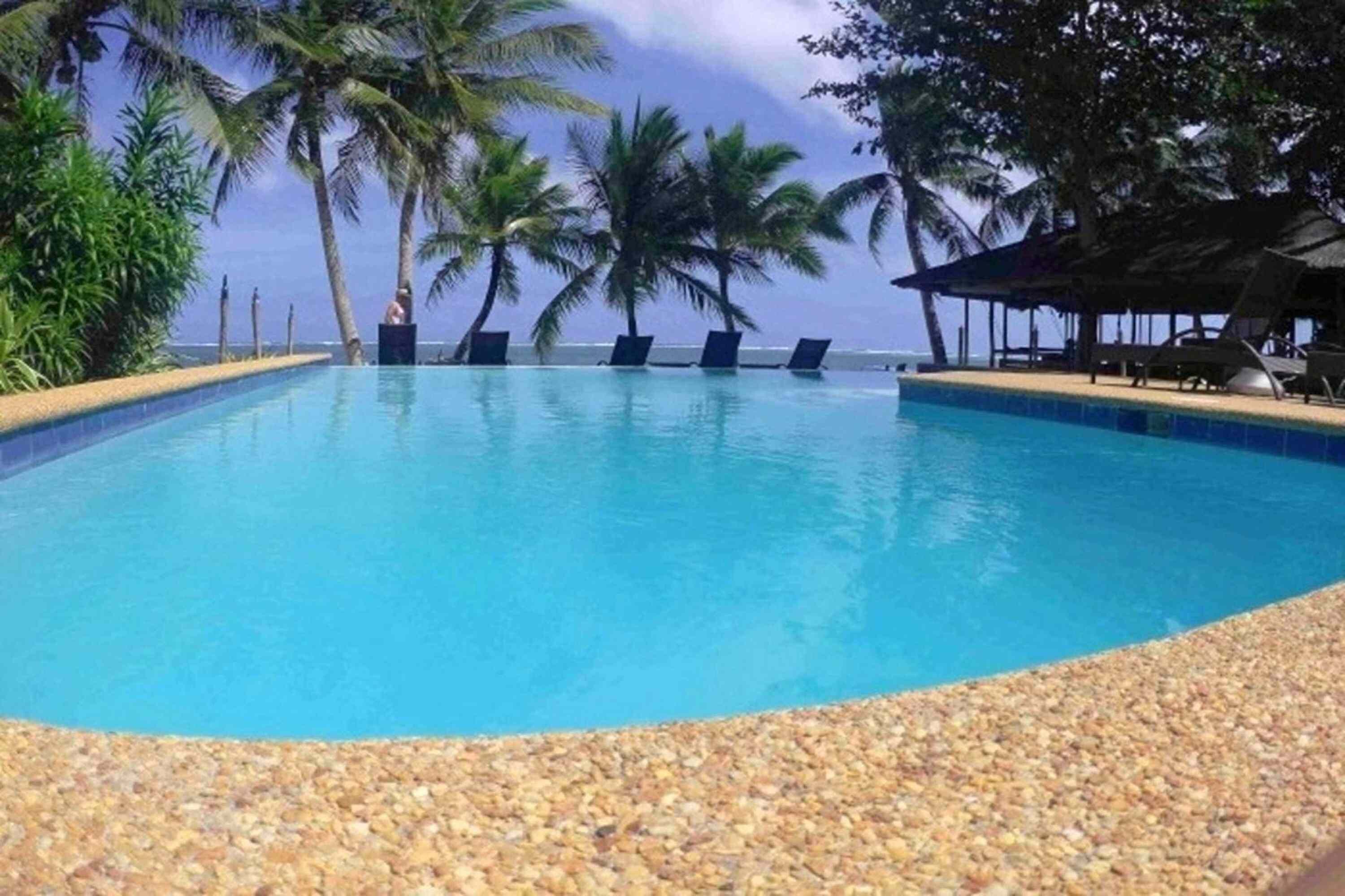 A clear blue pool with lounge chairs and palm trees, surrounded by a pebble beach and a view of the ocean.