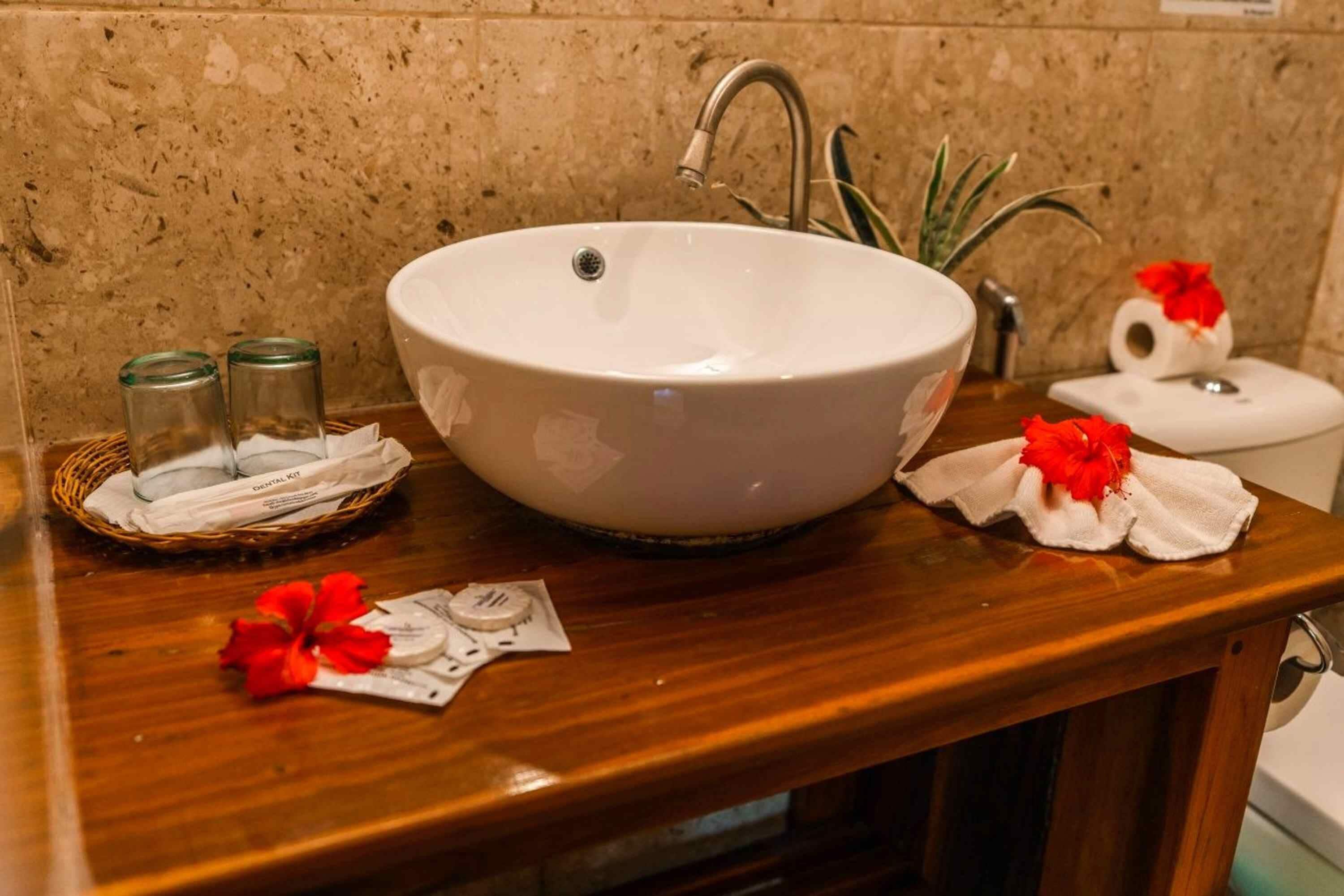 A bathroom sink with a large basin, a faucet, and a small plant beside it. There are two glass bottles and a tissue box on the counter.