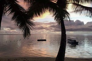 Escena de playa con palmeras, un bote y un mar tranquilo durante el atardecer.