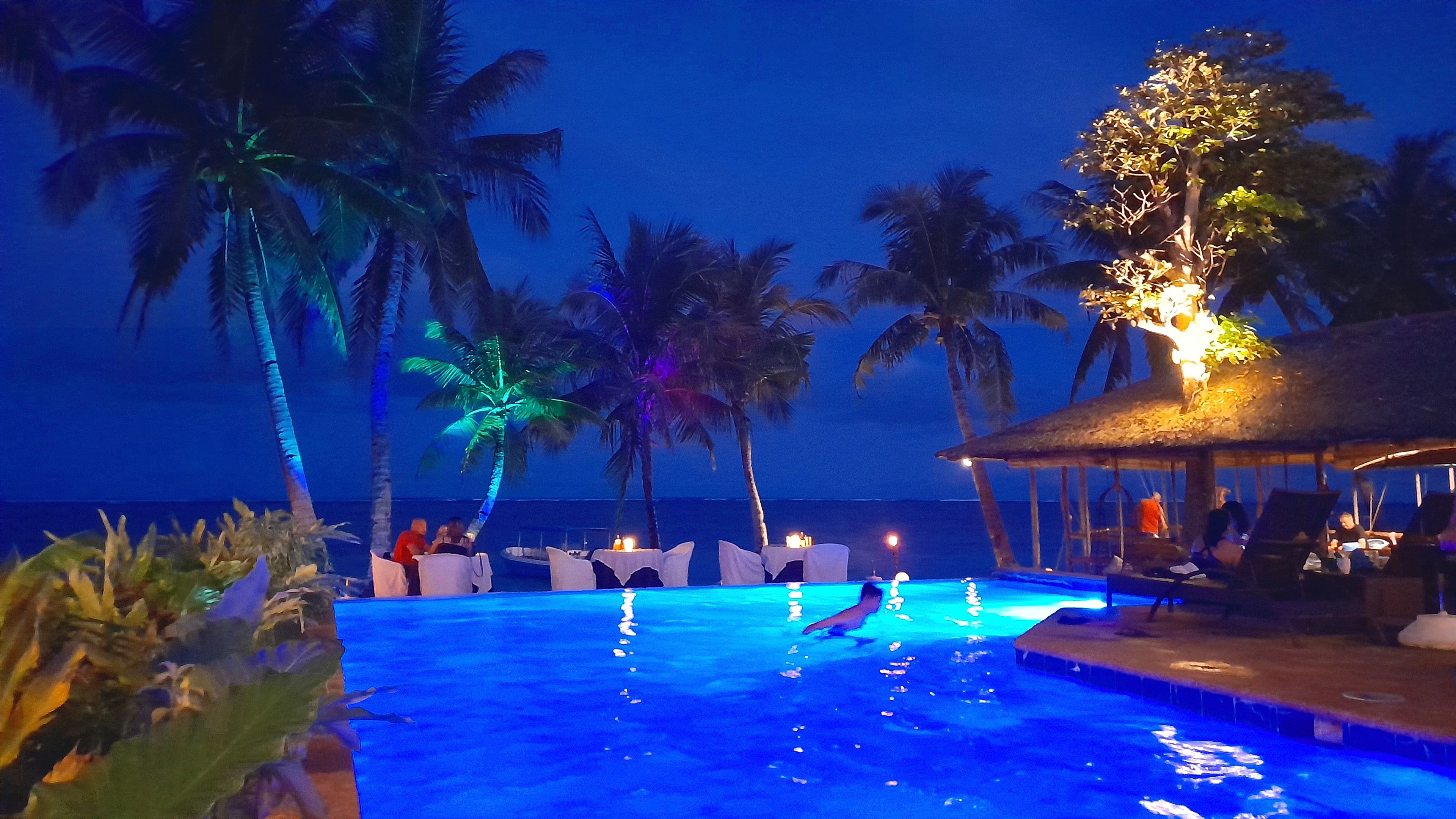 A pool area with palm trees and a thatched-roof structure.