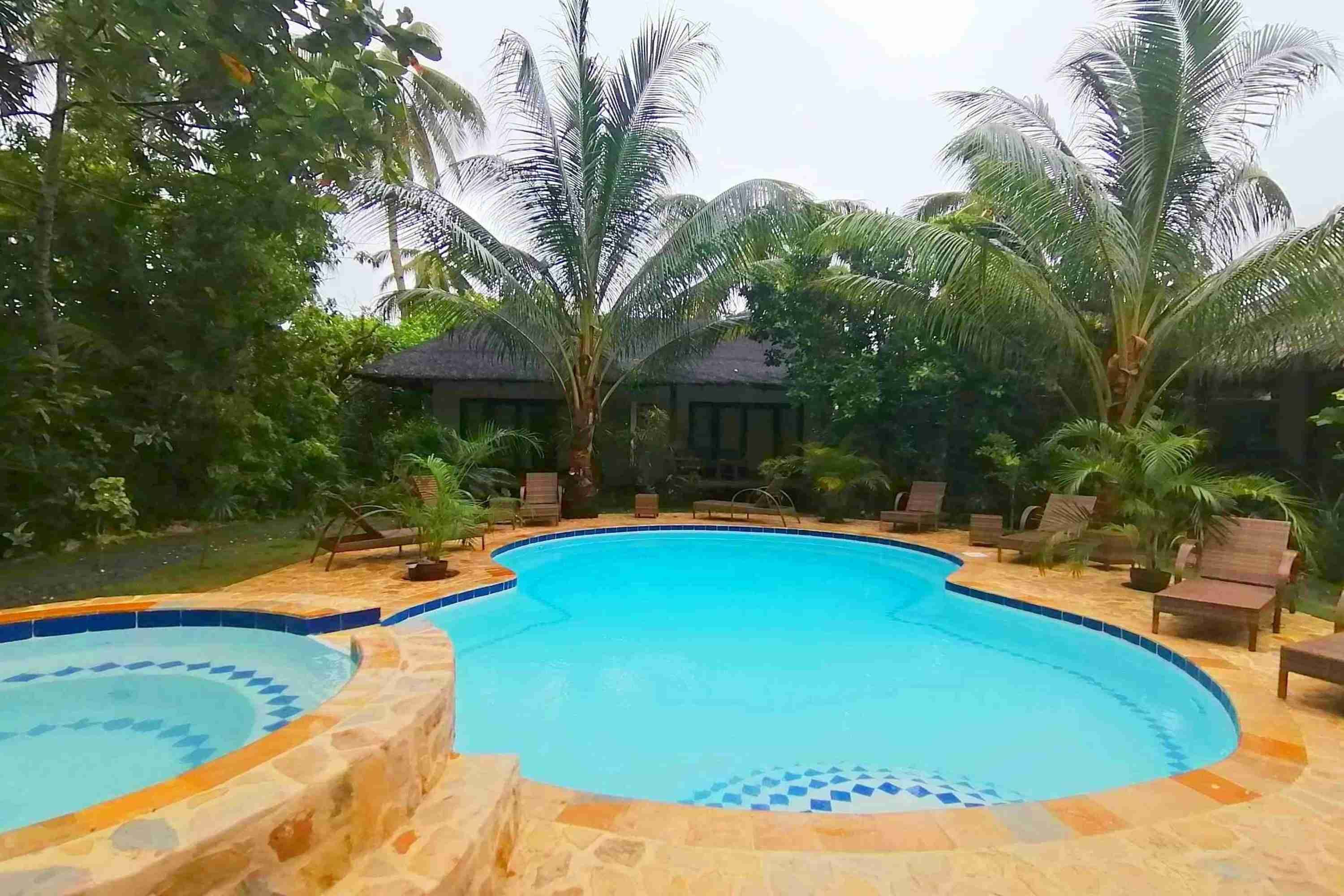 A swimming pool with a curved design, surrounded by lounge chairs and palm trees.